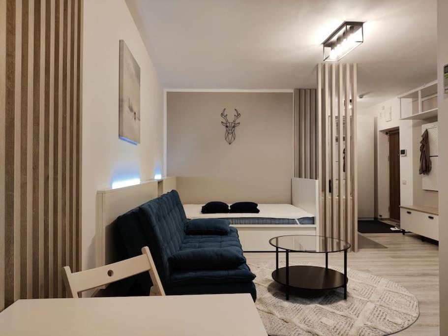 Joy City Stay Vivalia V6A-41 Timisoara Esterno foto