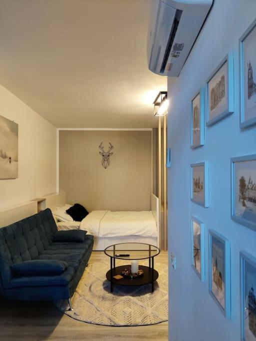 Joy City Stay Vivalia V6A-41 Timisoara Esterno foto