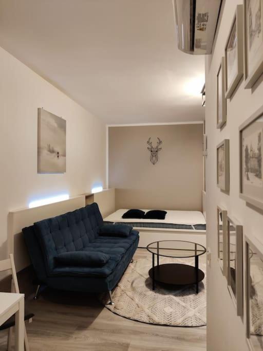 Joy City Stay Vivalia V6A-41 Timisoara Esterno foto