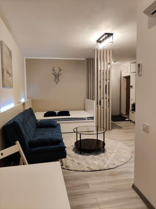 Joy City Stay Vivalia V6A-41 Timisoara Esterno foto